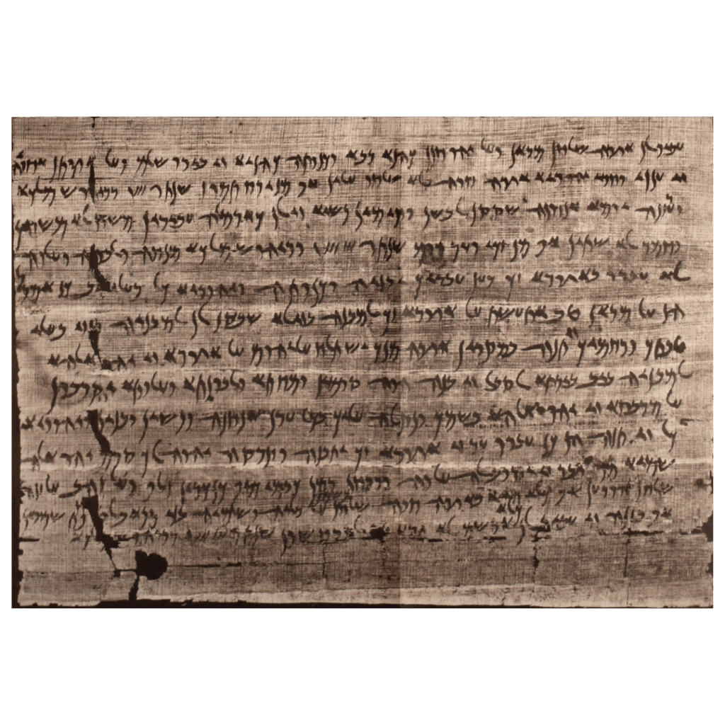 image of portion of elephantine papyri